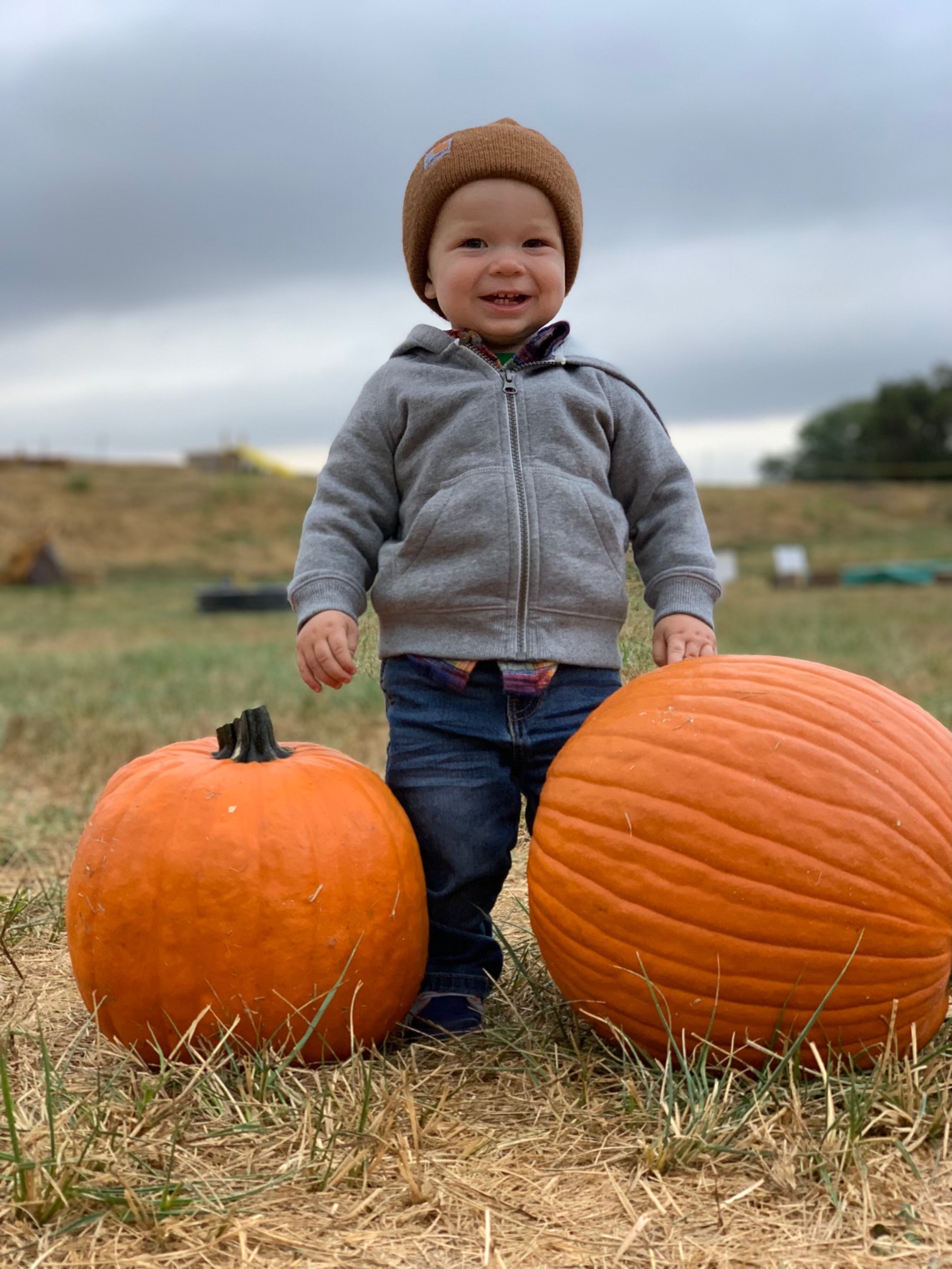 Pumpkin Patch Maryland